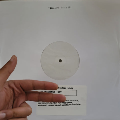 too much of life is mood (TEST PRESSING)